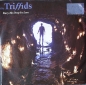 Triffids, The - Bury Me Deep In Love / Baby Can I Walk You Home - 7