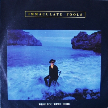 Immaculate Fools - Wish You Were Here / Pretty Price Now - 7