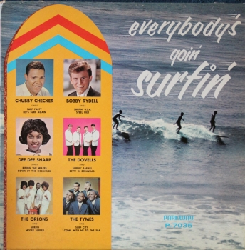 Various Artists - Everybody's Goin' Surfin - LP