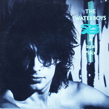 Waterboys, The - A Pagan Place - LP