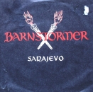 Barnstormer - Sarajevo - 7"