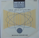 Big Country - One Great Thing  (Big Baad Country Mix) / Look Away (Outlaw Mix) / Song Of The South - 12"