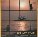 Birdy Hop - Welcome To The Insanity Ride - LP