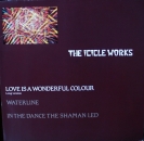 Icicle Works, The - Love Is A Wonderful Colour (Long Version) - 12"