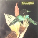 Shiny Gnomes - Some Funny Nightmares - LP