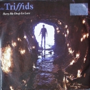 Triffids, The - Bury Me Deep In Love / Baby Can I Walk You Home - 7"