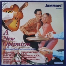 Various Artists - New Optimism - LP